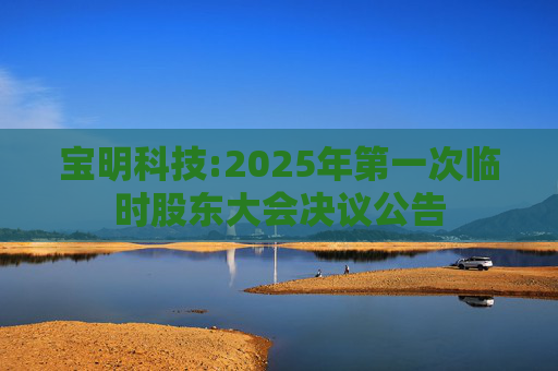 宝明科技:2025年第一次临时股东大会决议公告