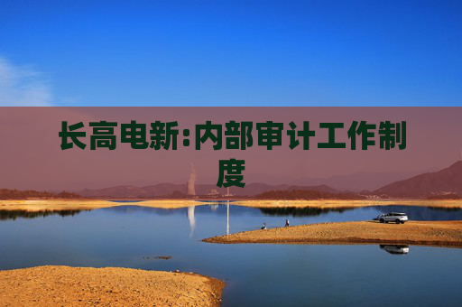 长高电新:内部审计工作制度