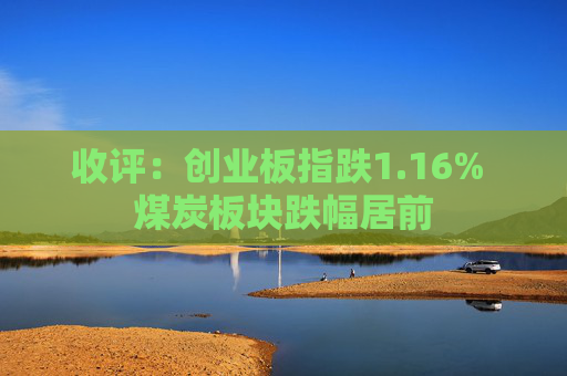收评：创业板指跌1.16% 煤炭板块跌幅居前  第1张