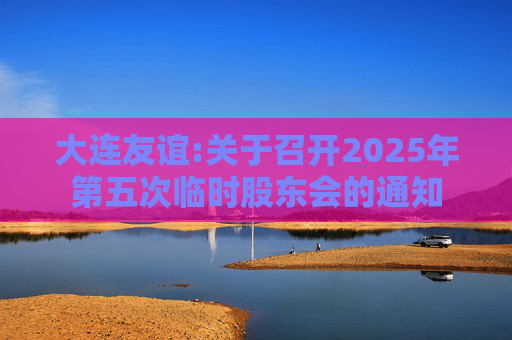 大连友谊:关于召开2025年第五次临时股东会的通知