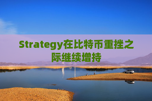Strategy在比特币重挫之际继续增持