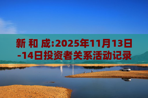 新 和 成:2025年11月13日-14日投资者关系活动记录表