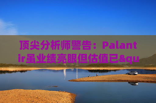 顶尖分析师警告：Palantir虽业绩亮眼但估值已"趋于完美"