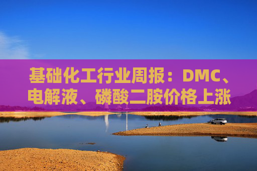 基础化工行业周报:DMC、电解液、磷酸二胺价格上涨 关注反内卷和铬盐