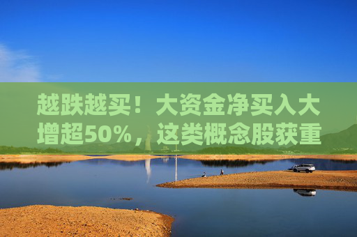 越跌越买！大资金净买入大增超50%，这类概念股获重点关注