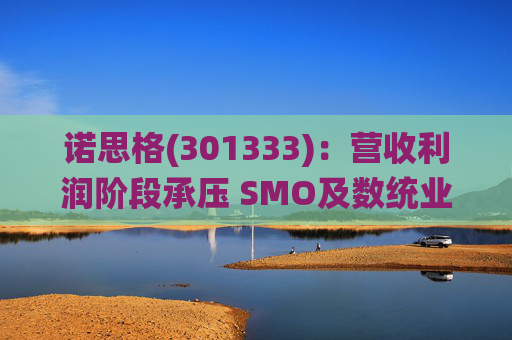 诺思格(301333)：营收利润阶段承压 SMO及数统业务保持稳健增长
