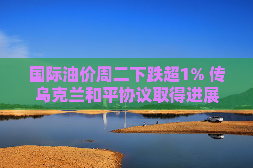 国际油价周二下跌超1% 传乌克兰和平协议取得进展  第1张