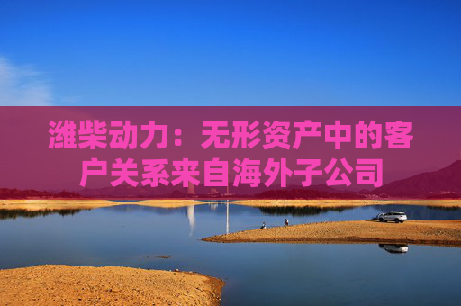 潍柴动力：无形资产中的客户关系来自海外子公司