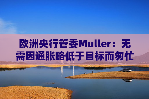 欧洲央行管委Muller：无需因通胀略低于目标而匆忙降息