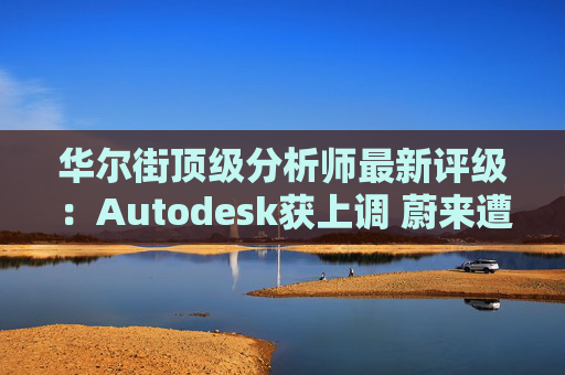 华尔街顶级分析师最新评级：Autodesk获上调 蔚来遭下调