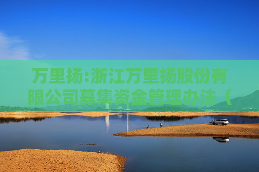 万里扬:浙江万里扬股份有限公司募集资金管理办法（2025年11月修订）