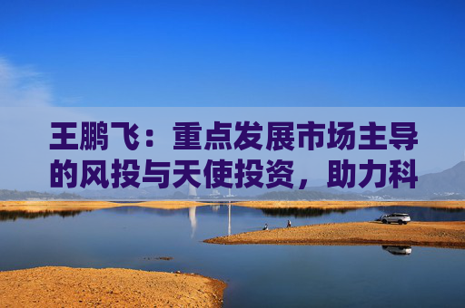 王鹏飞：重点发展市场主导的风投与天使投资，助力科技金融高质量发展