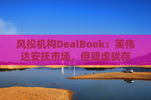 风投机构DealBook：英伟达安抚市场，但疑虑犹存