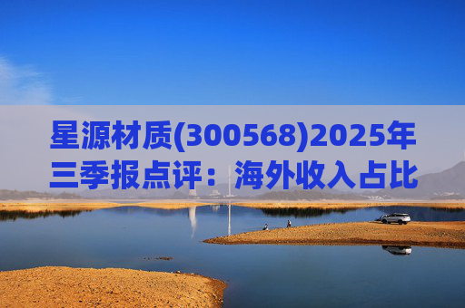 星源材质(300568)2025年三季报点评：海外收入占比提升 盈利水平改善