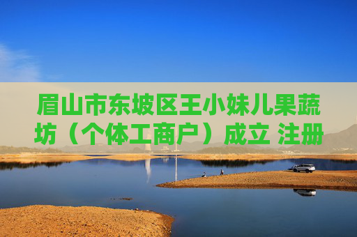 眉山市东坡区王小妹儿果蔬坊（个体工商户）成立 注册资本5万人民币  第1张