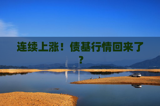 连续上涨!债基行情回来了?