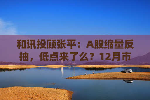 和讯投顾张平：A股缩量反抽，低点来了么？12月市场主线已切换