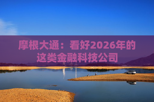 摩根大通：看好2026年的这类金融科技公司  第1张