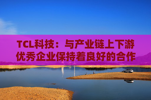 TCL科技：与产业链上下游优秀企业保持着良好的合作关系  第1张
