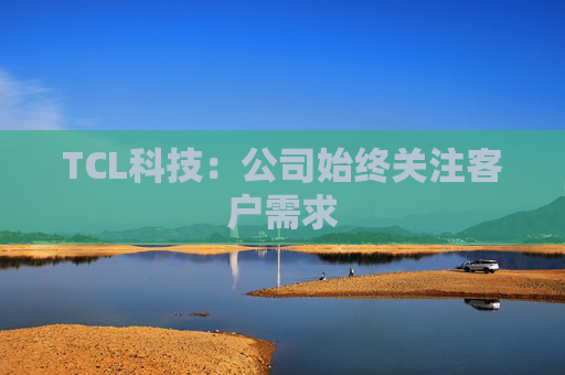 TCL科技：公司始终关注客户需求