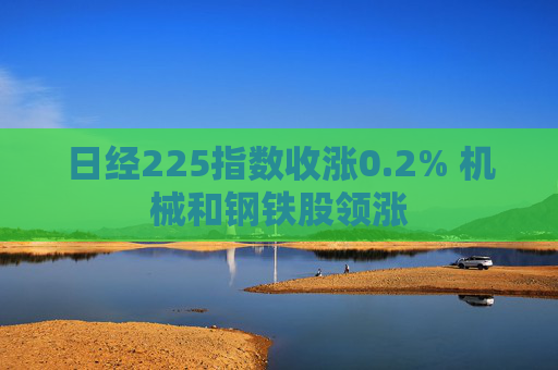 日经225指数收涨0.2% 机械和钢铁股领涨