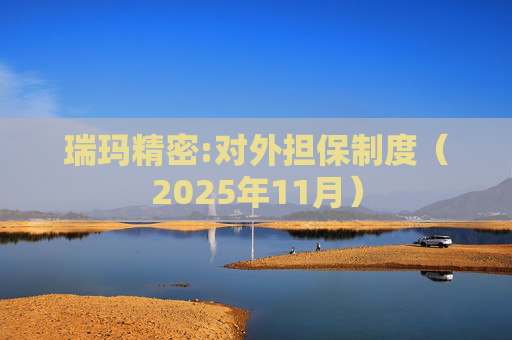 瑞玛精密:对外担保制度（2025年11月）