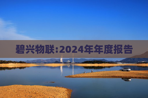 碧兴物联:2024年年度报告  第1张