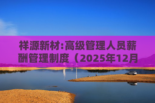 祥源新材:高级管理人员薪酬管理制度（2025年12月）
