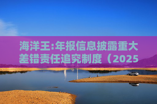 海洋王:年报信息披露重大差错责任追究制度（2025年12月）