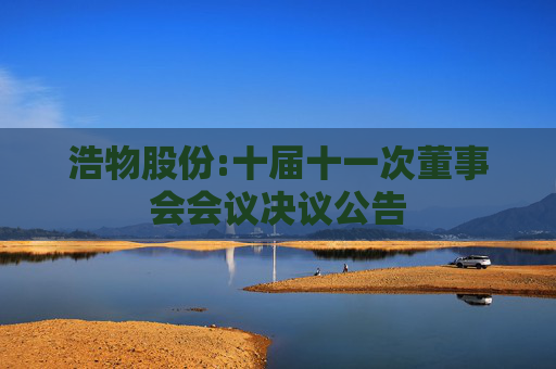 浩物股份:十届十一次董事会会议决议公告