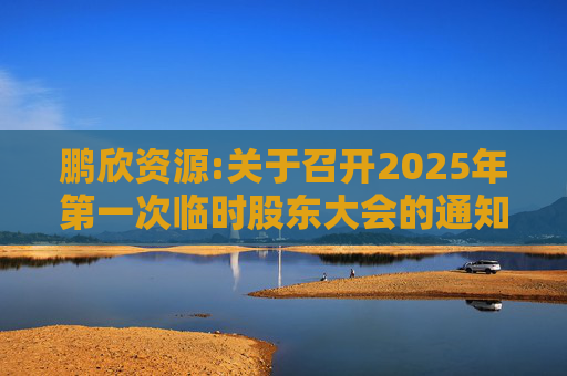 鹏欣资源:关于召开2025年第一次临时股东大会的通知