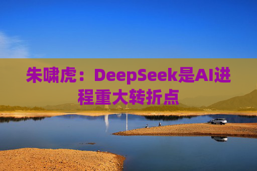 朱啸虎：DeepSeek是AI进程重大转折点