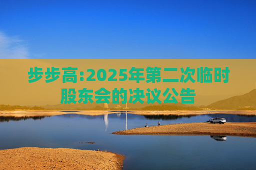 步步高:2025年第二次临时股东会的决议公告