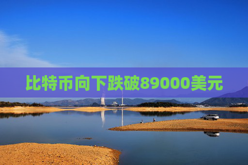比特币向下跌破89000美元