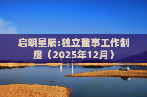 启明星辰:独立董事工作制度（2025年12月）