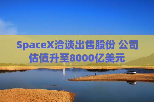 SpaceX洽谈出售股份 公司估值升至8000亿美元