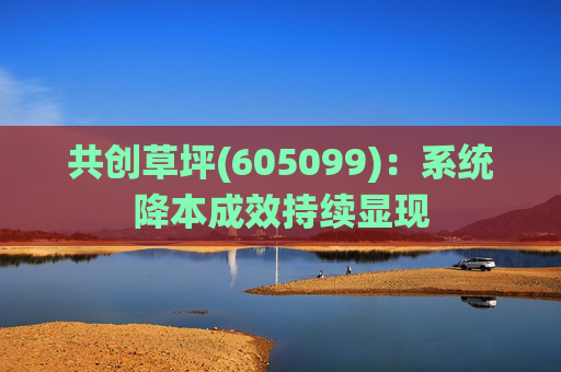 共创草坪(605099)：系统降本成效持续显现