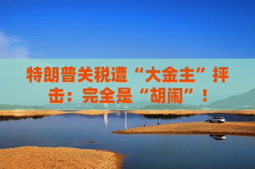 特朗普关税遭“大金主”抨击：完全是“胡闹”！  第1张