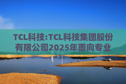 TCL科技:TCL科技集团股份有限公司2025年面向专业投资者公开发行科技创新公司债券（数字经济）（第一期）发行公告