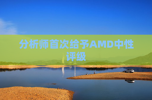 分析师首次给予AMD中性评级
