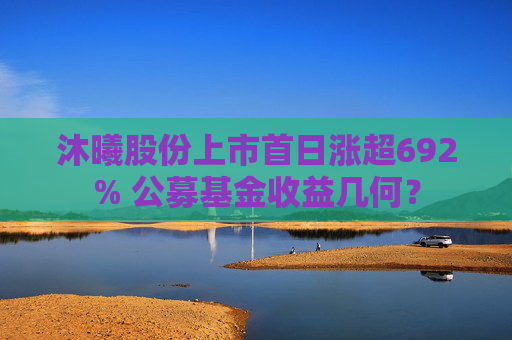沐曦股份上市首日涨超692% 公募基金收益几何? 第1张 沐曦股份上市首日涨超692% 公募基金收益几何? 第1张