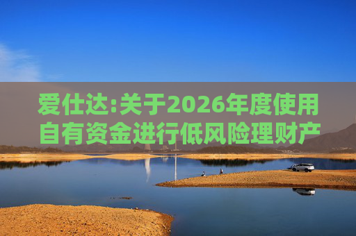 爱仕达:关于2026年度使用自有资金进行低风险理财产品投资的公告