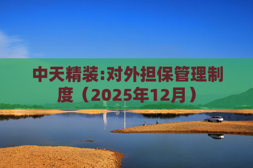 中天精装:对外担保管理制度（2025年12月）  第1张