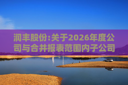 润丰股份:关于2026年度公司与合并报表范围内子公司相互担保的公告  第1张