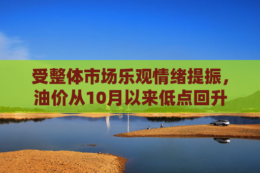 受整体市场乐观情绪提振，油价从10月以来低点回升
