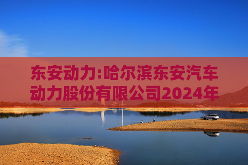东安动力:哈尔滨东安汽车动力股份有限公司2024年度内部控制审计报告