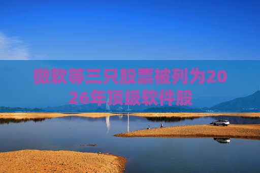 微软等三只股票被列为2026年顶级软件股