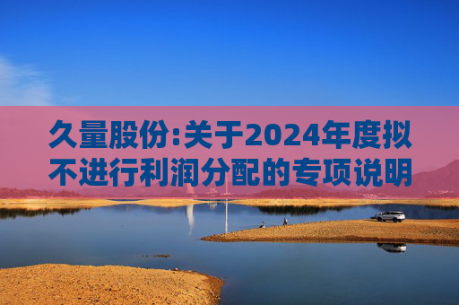 久量股份:关于2024年度拟不进行利润分配的专项说明