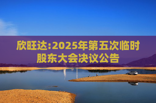 欣旺达:2025年第五次临时股东大会决议公告
