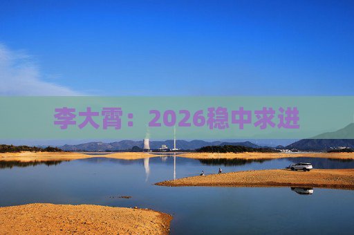 李大霄：2026稳中求进